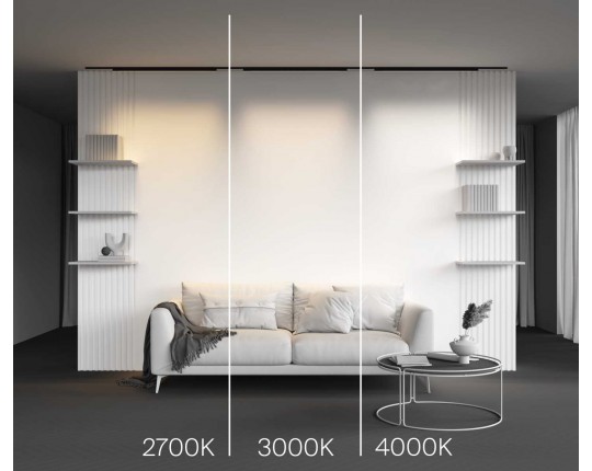 Трековый светильник Maytoni Technical Basis TR192-1-21W4K-B