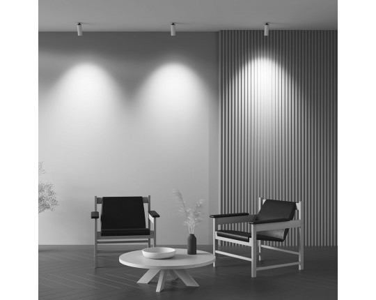 Встраиваемый светодиодный спот Maytoni Technical Focus Led C053CL-L12W2.7K-W-W