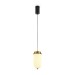 Подвесной светильник Freya Modern Iride FR5627PL-L8BBS