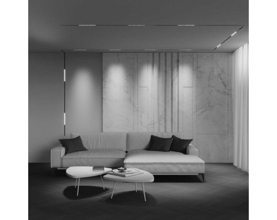 Трековый светильник Maytoni Technical EXILITY X Points TR241-4-12WTW-DD2-B