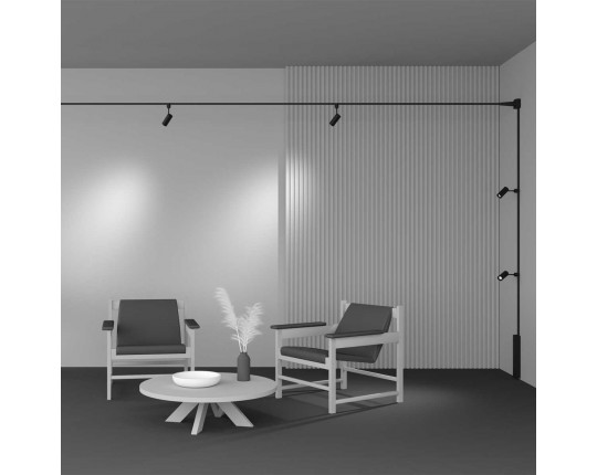 Трековый светильник Maytoni Technical TR163-1-10W3K-M-B