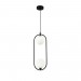 Подвесной светильник Maytoni Ring MOD013PL-02B