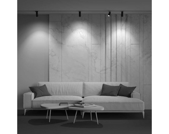Трековый светильник Maytoni Technical Focus LED TR021-1-12B3K-Z-B