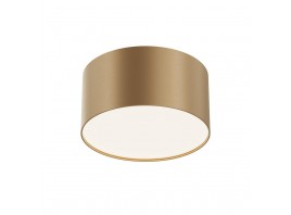 Потолочный светодиодный светильник Maytoni Technical Zon C032CL-12W4K-RD-MG