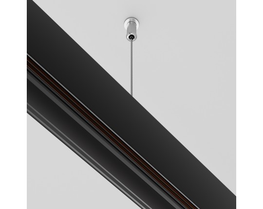 Подвес Maytoni Technical Exility Busbur TRA034SW-2B