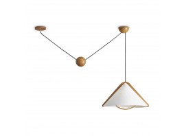 Потолочный светильник Freya Modern FR5554CL-01T