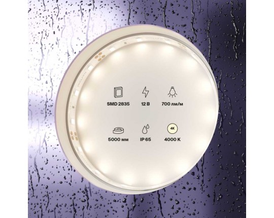 Светодиодная лента Standard Maytoni Led Strip 20005