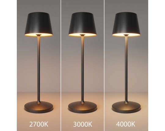 Настольная аккумуляторная лампа Maytoni Modern Nook MOD494RL-L1BK