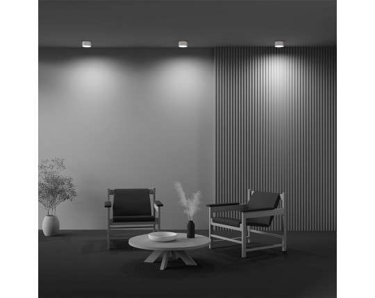 Потолочный светодиодный светильник Maytoni Technical Zon C032CL-12W2.7K-RD-W