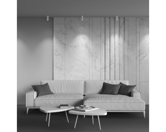Потолочный светодиодный светильник Maytoni Technical Focus Led C056CL-L12W2.7K-W-W