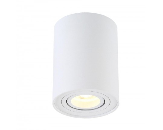Потолочный светильник Crystal Lux CLT 410C1 WH