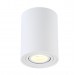 Потолочный светильник Crystal Lux CLT 410C1 WH