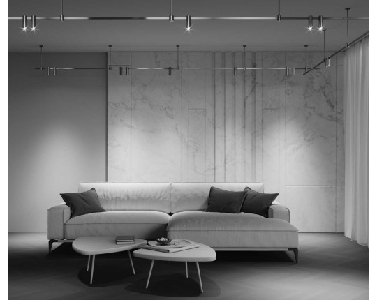 Трековый светильник Maytoni Technical TR143-1-5W3K-W-PT