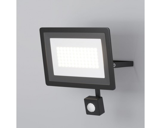 Прожектор светодиодный Maytoni Flood 50W 6500K FL001-L50B6KSR