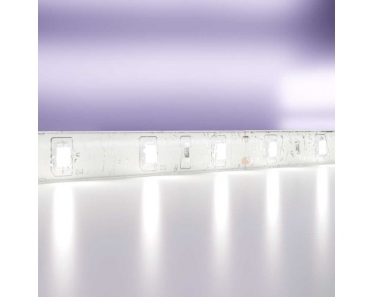 Светодиодная влагозащищенная лента Maytoni Technical 4,8W/m 60LED/m 2835SMD холодный белый 5M 10141