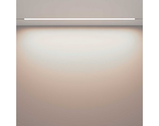 Трековый светодиодный светильник Maytoni Technical Magnetic Exility Basis TR030-4-30WTW-DD-W
