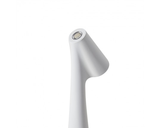 Настольная лампа Freya Clam FR6188TL-L3W