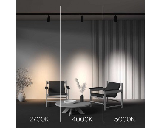 Трековый светодиодный светильник Maytoni Technical Focus Led TR197-3-30WCCT-M-B