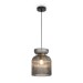 Подвесной светильник Freya Modern FR5558PL-01SM