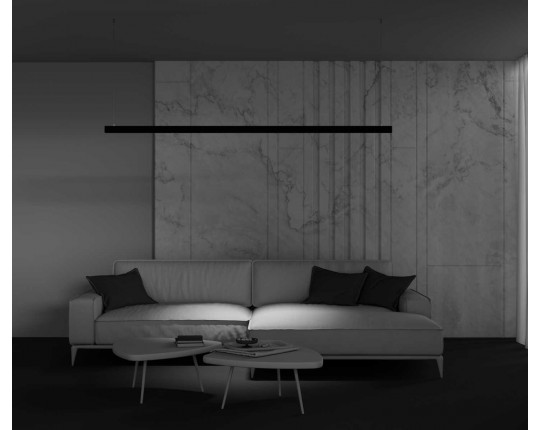 Трековый светильник Maytoni Technical Points TR031-2-12W2.7K-B