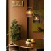Подвесной светильник Freya Modern FR5558PL-01BR