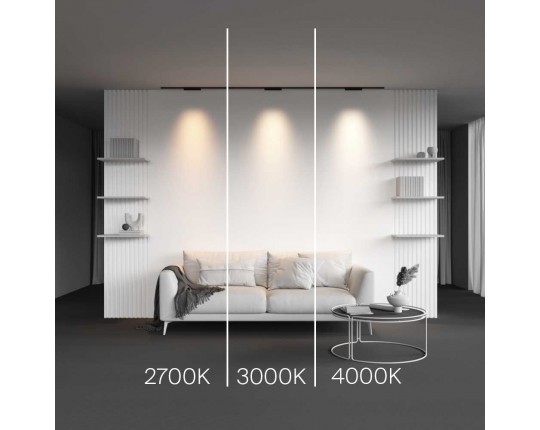 Трековый светильник Maytoni Technical Points TR193-1-10W3K-M-B