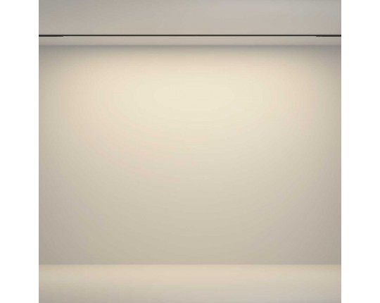 Трековый светильник Maytoni Technical TR180-1-24WTW-B