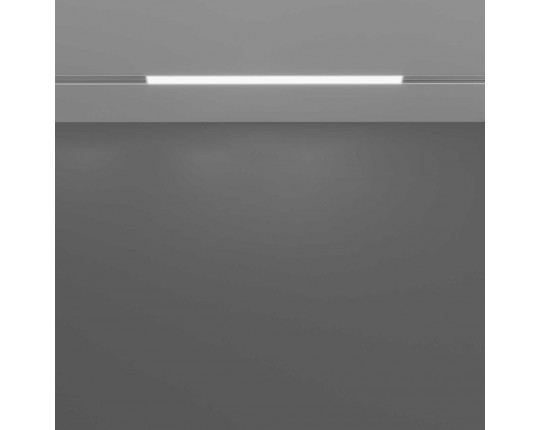 Трековый светодиодный светильник Maytoni Technical Basis TR030-2-12W3K-W