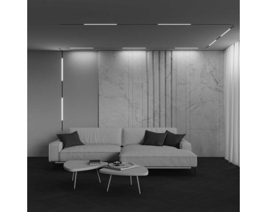 Трековый светильник Maytoni Technical EXILITY X Basis TR240-2-12W3K-B