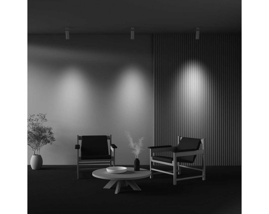Потолочный светильник Maytoni Technical Ceiling FOCUS LED C055CL-L20W2.7-3-4K-M-W Потолочный светильник Maytoni Technical Ceiling FOCUS LED C055CL-L20W2.7-3-4K-M-W