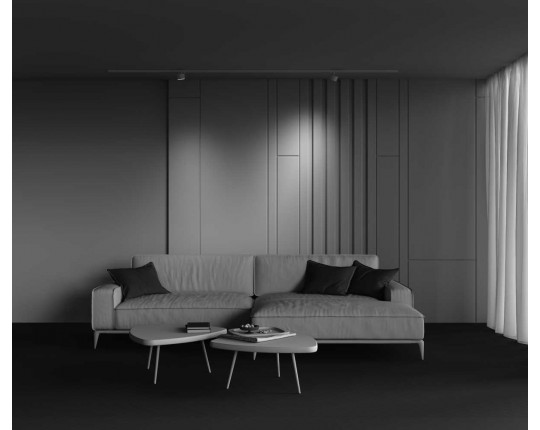 Трековый светильник Maytoni Technical TR225-1-GX53-W
