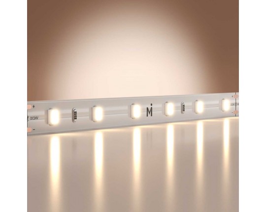Светодиодная лента Maytoni Led Strip 201166