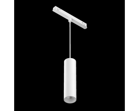 Трековый светодиодный светильник Maytoni Technical Focus Led TR041-2-12W3K-W