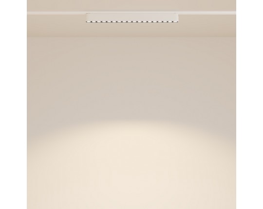 Трековый светодиодный светильник Maytoni Technical Radity Points TR082-1-18W3K-M-W