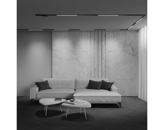 Трековый светильник Maytoni Technical EXILITY X Basis TR240-4-12WTW-DD2-B Трековый светильник Maytoni Technical EXILITY X Basis TR240-4-12WTW-DD2-B