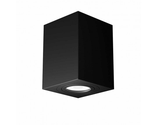 Потолочный светильник Maytoni Alfa C017CL-01B