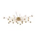 Потолочная люстра Freya Celebrity FR5242CL-24BS