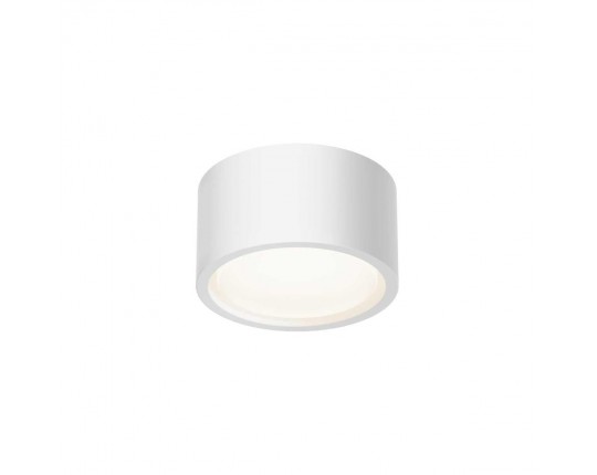 Потолочный светильник Maytoni Technical C001CL-GX53-W