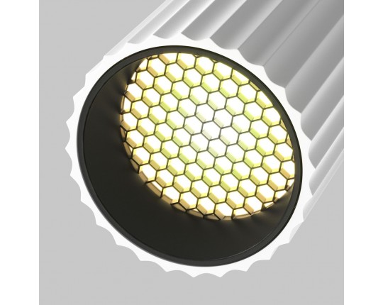 Трековый светильник Maytoni Technical Unity Calipso TR218-1-GU10-W