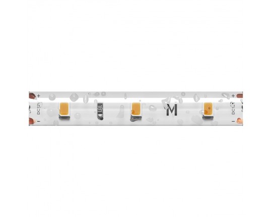 Светодиодная влагозащищенная лента Maytoni 4,8W/m 60LED/m 2835SMD дневной белый 5M 201007