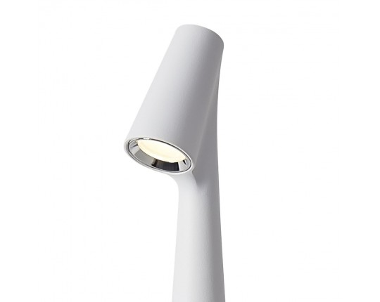 Настольная лампа Freya Clam FR6188TL-L3W