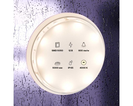 Светодиодная влагозащищенная лента Maytoni Technical 7,2W/m 30LED/m 5050SMD дневной белый 5M 10124 Светодиодная влагозащищенная лента Maytoni Technical 7,2W/m 30LED/m 5050SMD дневной белый 5M 10124