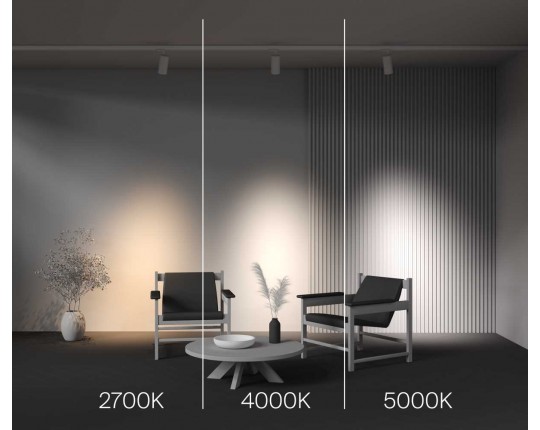 Трековый светильник Maytoni Technical TR197-3-40WCCT-M-W