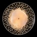 Настенный светильник Crystal Lux CONTESSA AP2.1