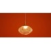 Подвесной светильник Freya Modern Mote FR5601PL-01TR