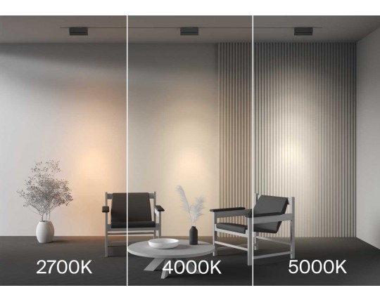 Трековый светильник Maytoni Technical TR224-1-12WCCT-M-B