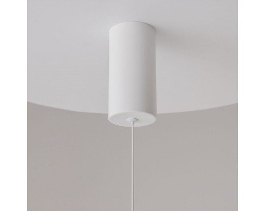 Подвесной светильник Maytoni Ray P022PL-L20W3K