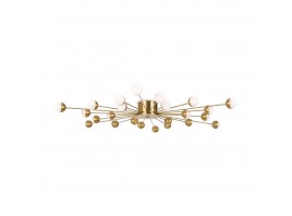 Потолочная люстра Freya Celebrity FR5242CL-24BS
