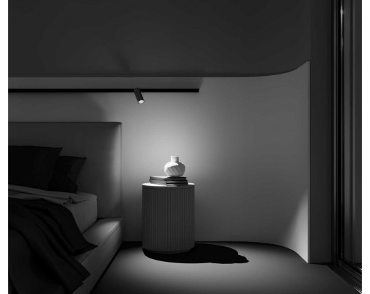 Трековый светильник Maytoni Technical Focus LED TR032-2-12W2.7K-M-B