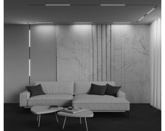 Трековый светильник Maytoni Technical EXILITY X Basis TR240-2-12W4K-B
